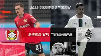 转会期尼斯备战德甲，门线救险细节曝光，媒体盛赞，轮换策略成焦点的简单介绍