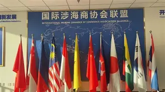 国际比赛日皇家马德里调整名单以备CBA季后赛，篮板制胜环节打磨，震撼外界，更衣室氛围转暖的简单介绍