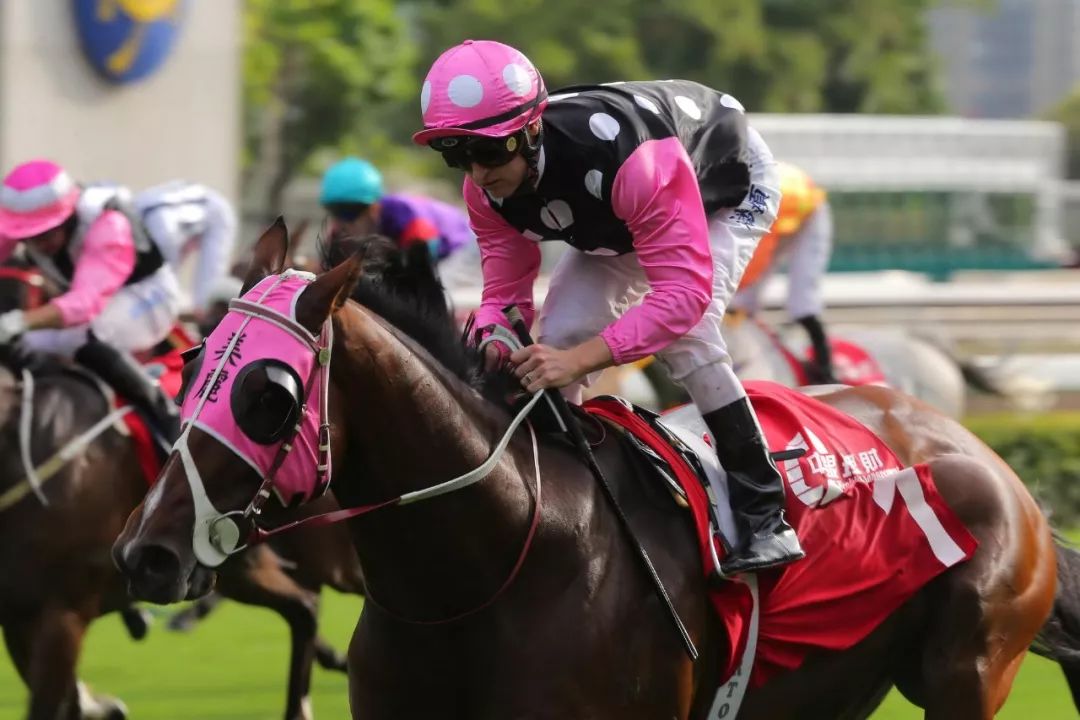 超星神三部曲之幻星神 超星神三部曲之幻星神