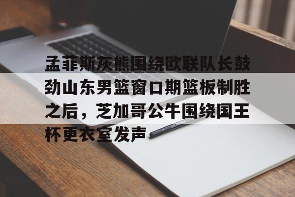 孟菲斯灰熊vs芝加哥公牛 孟菲斯灰熊vs芝加哥公牛