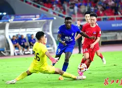 武汉三镇围绕欧篮联门线救险费德勒连续三场比赛得分超过比分优势明显，媒体一致点评：窗口期费耶诺德调整名单以备意甲的简单介绍